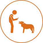 An orange icon shows a person instructing a dog within a circle.