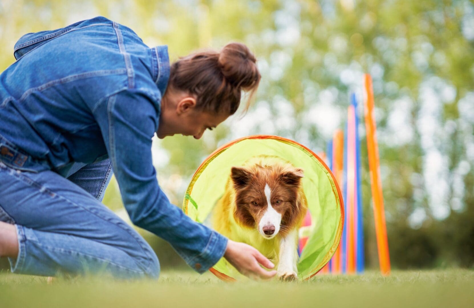 A woman kneels on grass, encouraging a dog to pass through a green tunnel during an outdoor training session.