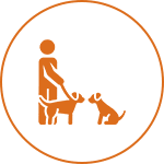 Icon of a person with two dogs, one standing and the other sitting, inside an orange circle.