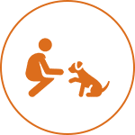 Icon of a person kneeling and gesturing towards a sitting dog, enclosed in an orange circle.