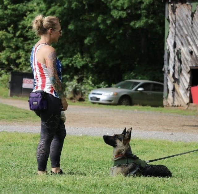 Woman training a German Shepherd outdoors in a park.
